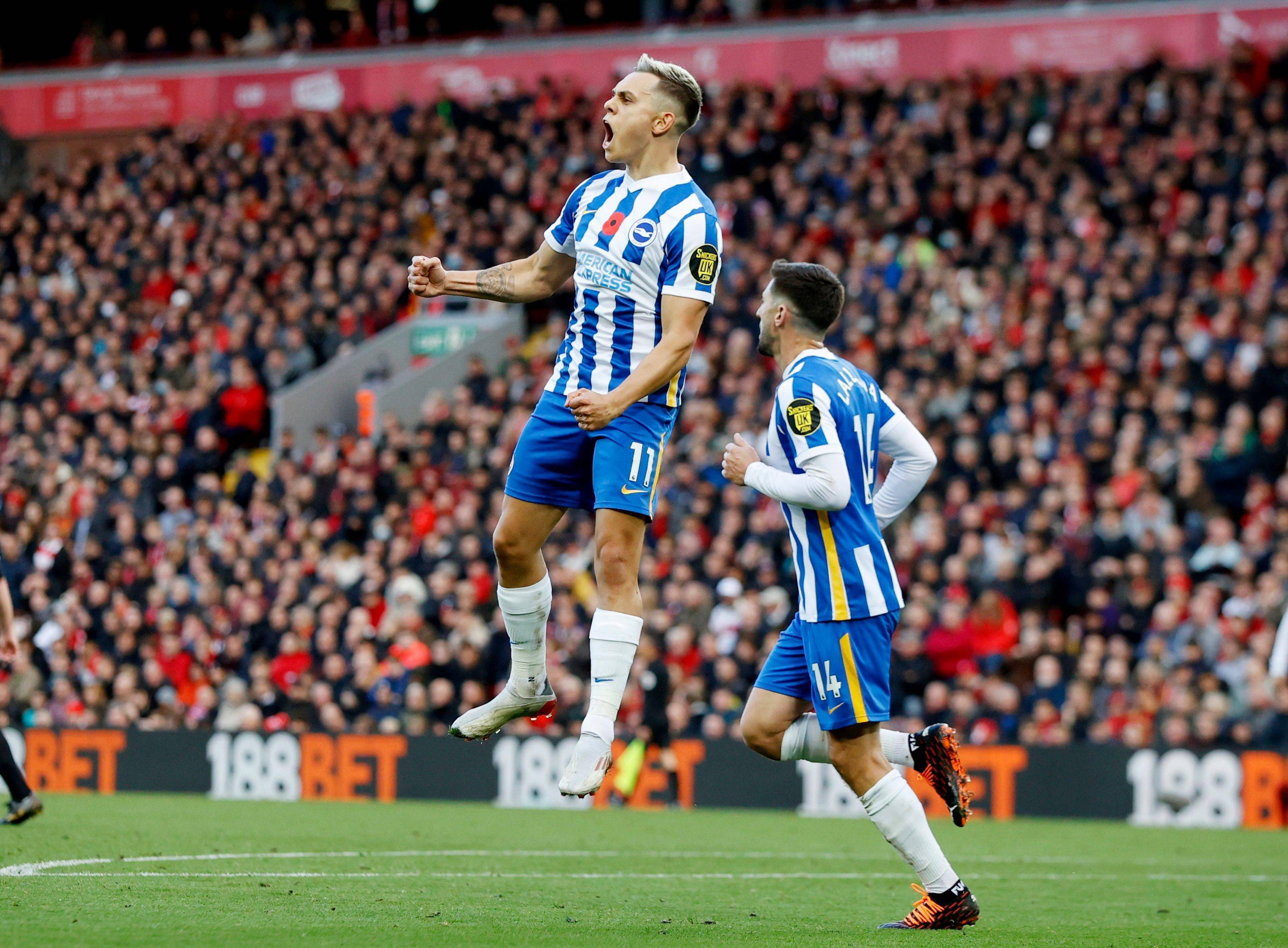 强的重要转 强的重要转