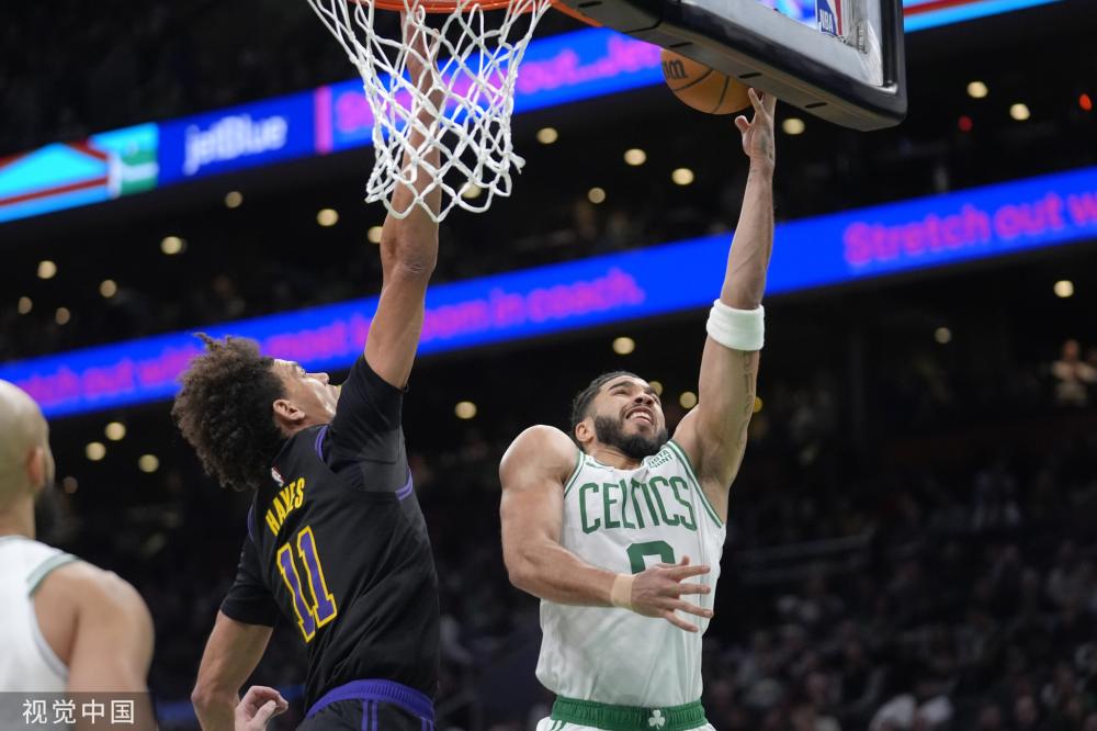 不仅填补了 不仅填补了